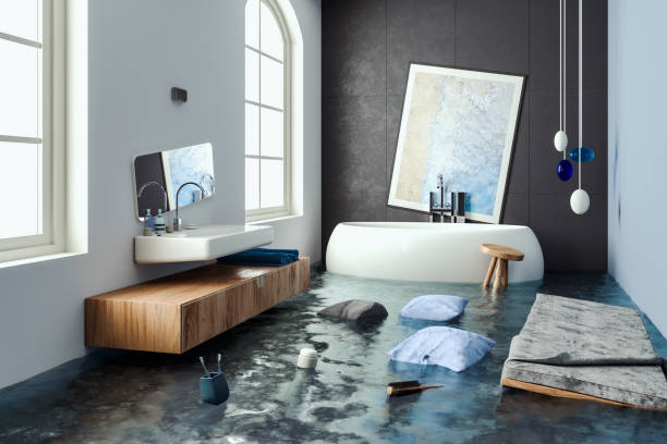 Best Carpet water damage restoration  in Littlefield, TX