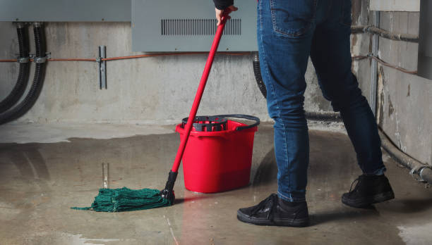Reliable TX Water damage restoration Solutions
