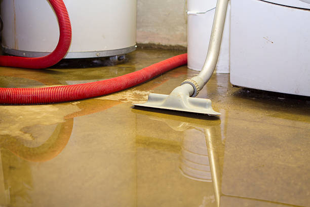 Best Water damage repair service  in Littlefield, TX